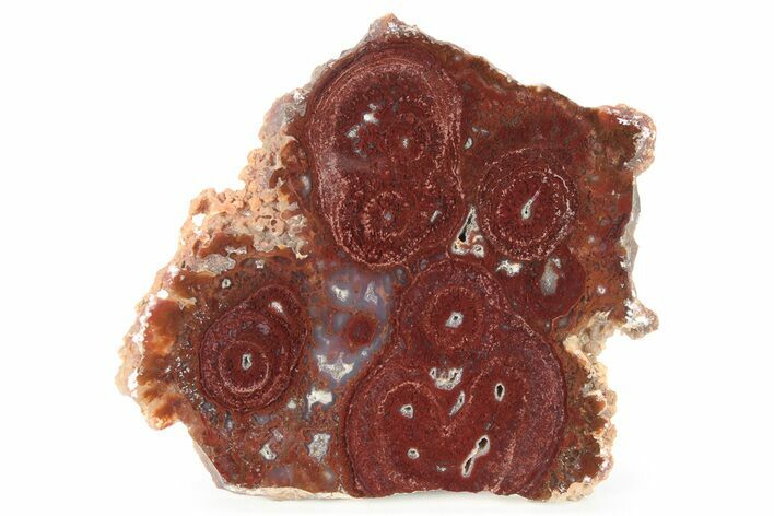 Vibrant, Polished Dot Agate Slab - Cady Mountains, California #228084